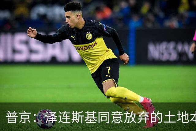 普京：泽连斯基同意放弃的土地本就不属于乌克兰，而是属于历史上的俄罗斯