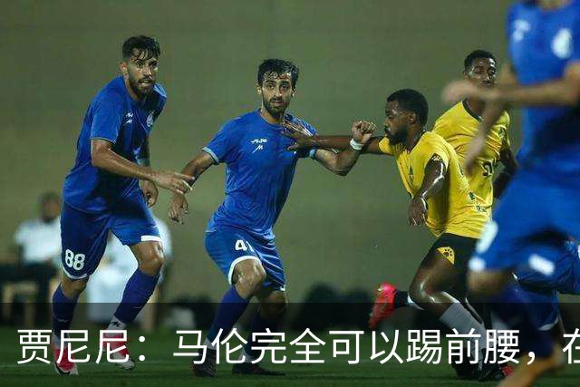 贾尼尼：马伦完全可以踢前腰，在卡斯特罗身后创造机会